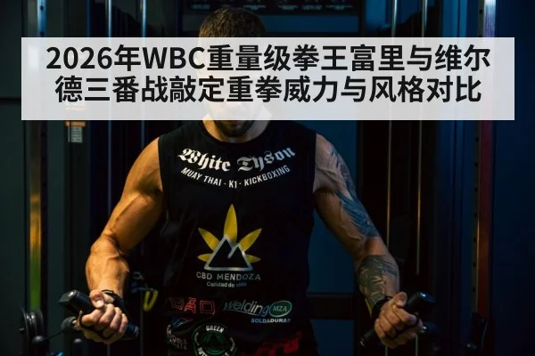 2026年WBC重量级拳王富里与维尔德三番战敲定重拳威力与风格对比