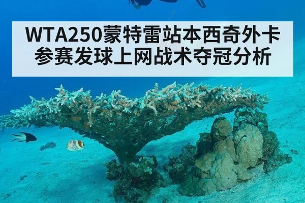 WTA250蒙特雷站本西奇外卡参赛发球上网战术夺冠分析