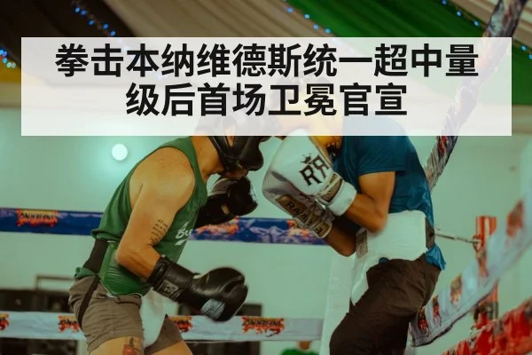 拳击本纳维德斯统一超中量级后首场卫冕官宣